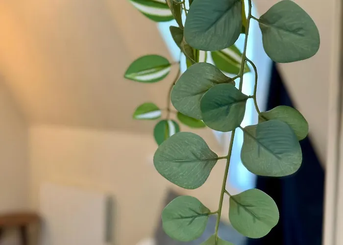 דירה L'escale A דוביל